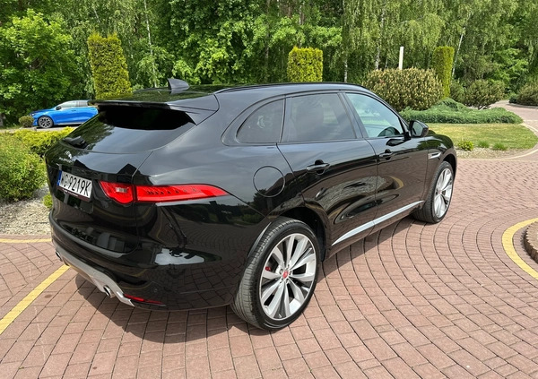 Jaguar F-Pace cena 149900 przebieg: 55000, rok produkcji 2016 z Górzno małe 781